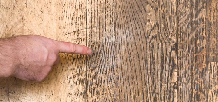 Wood Door Scratch Repair in Glendale